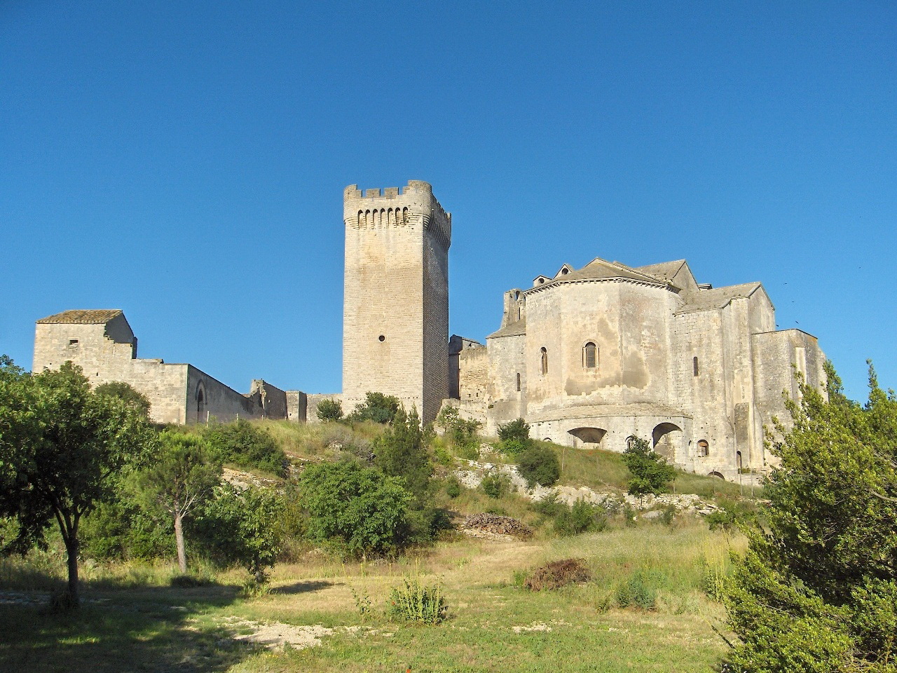 Abbaye-de-montmajour